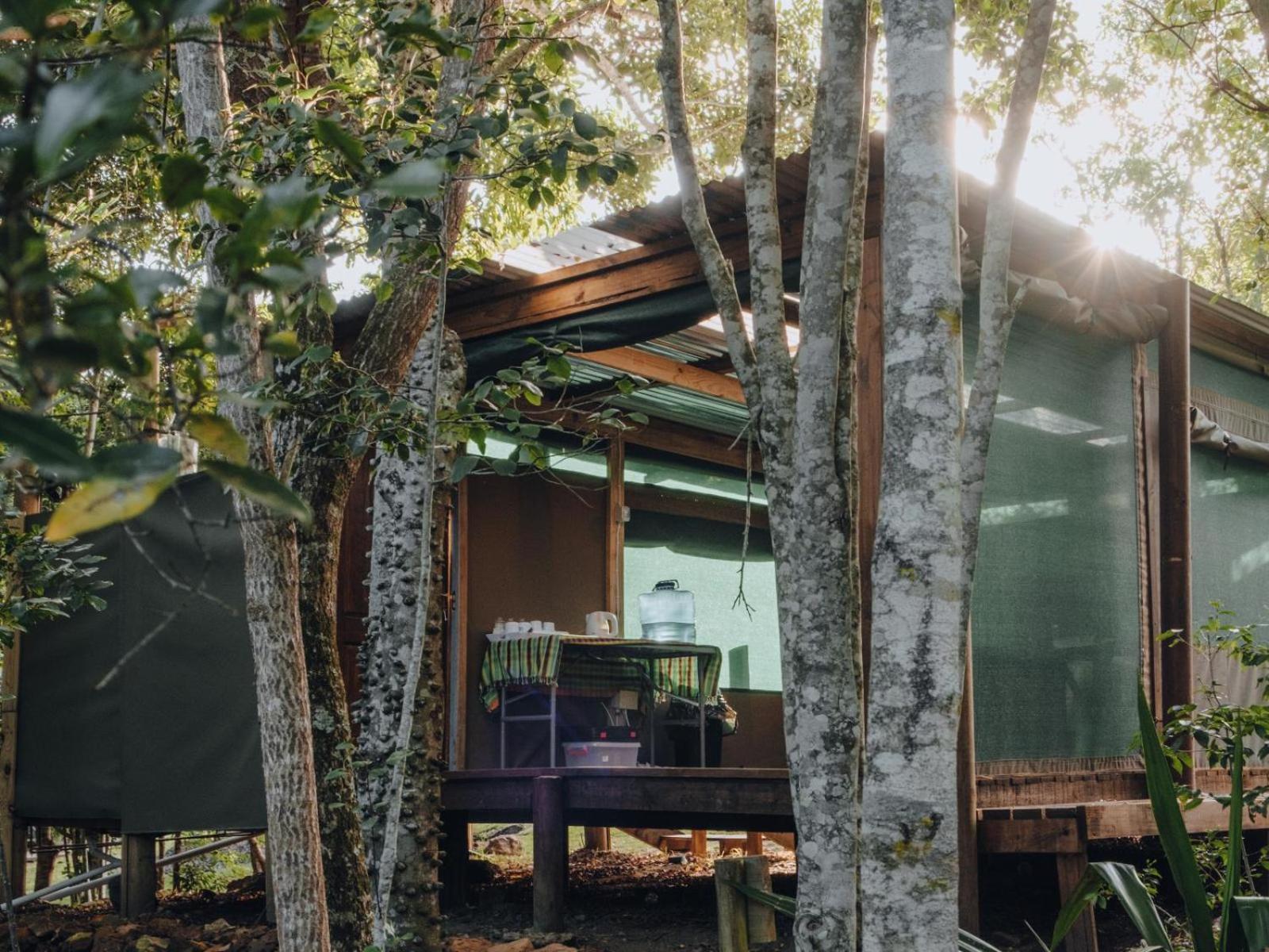 Firefly Falls Plettenberg Bay Extérieur photo