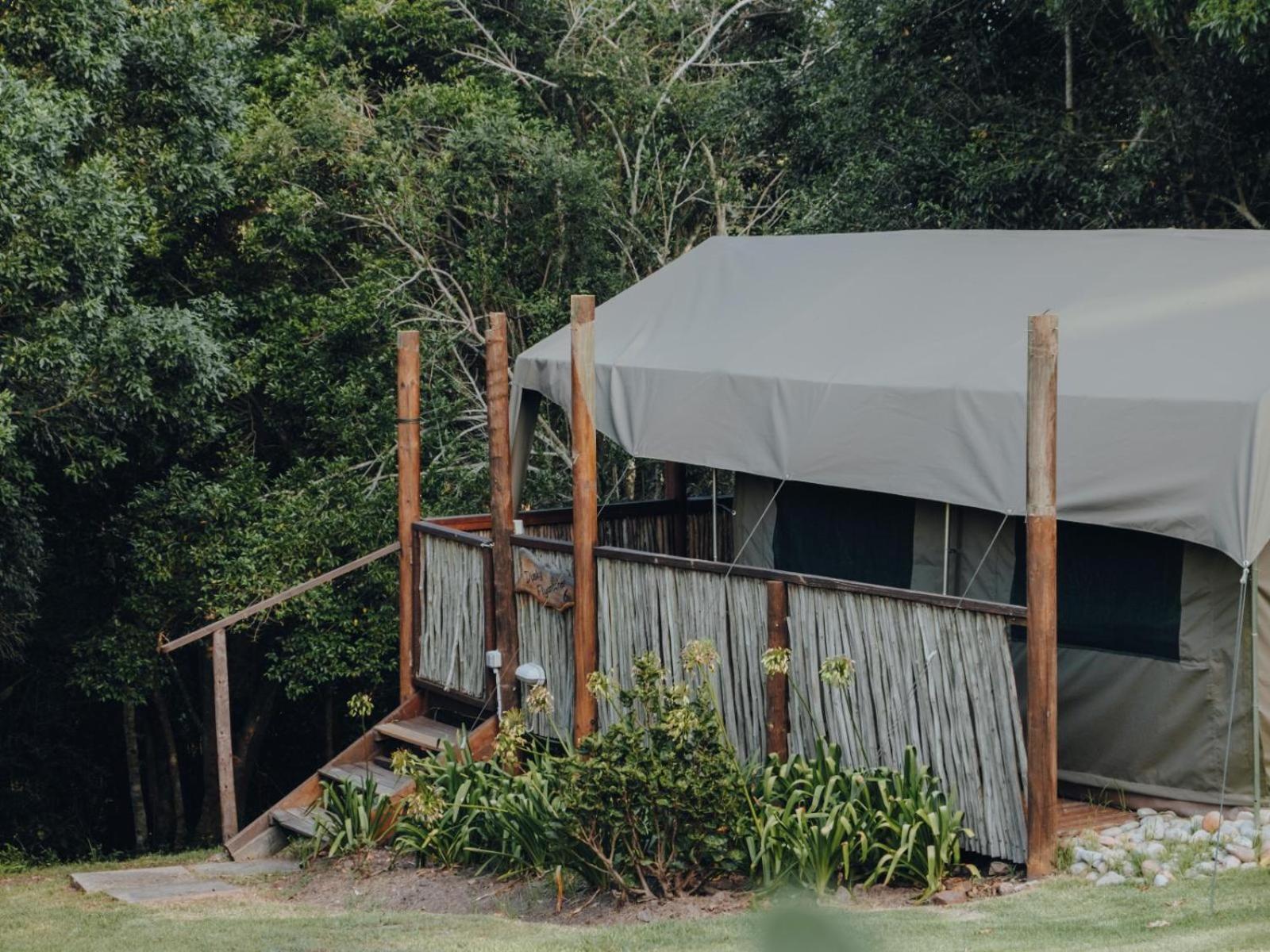 Firefly Falls Plettenberg Bay Extérieur photo