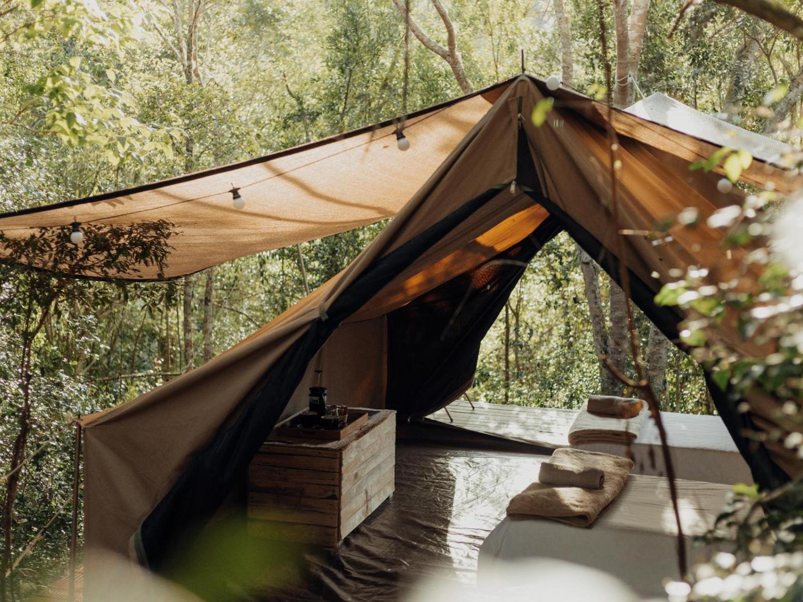Firefly Falls Plettenberg Bay Extérieur photo