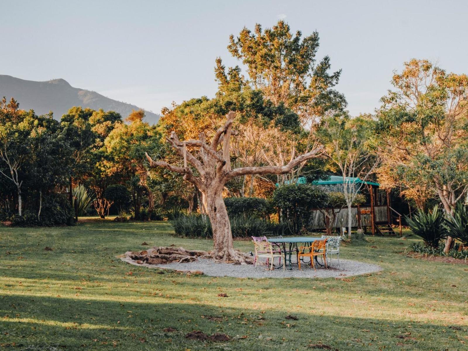 Firefly Falls Plettenberg Bay Extérieur photo