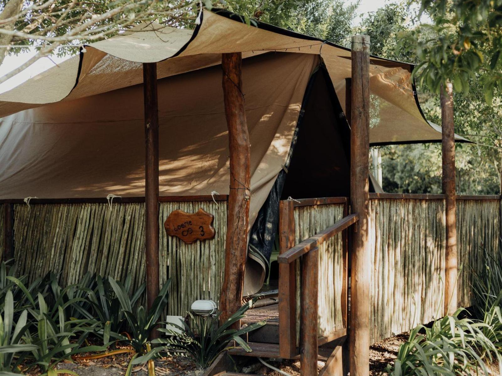 Firefly Falls Plettenberg Bay Extérieur photo