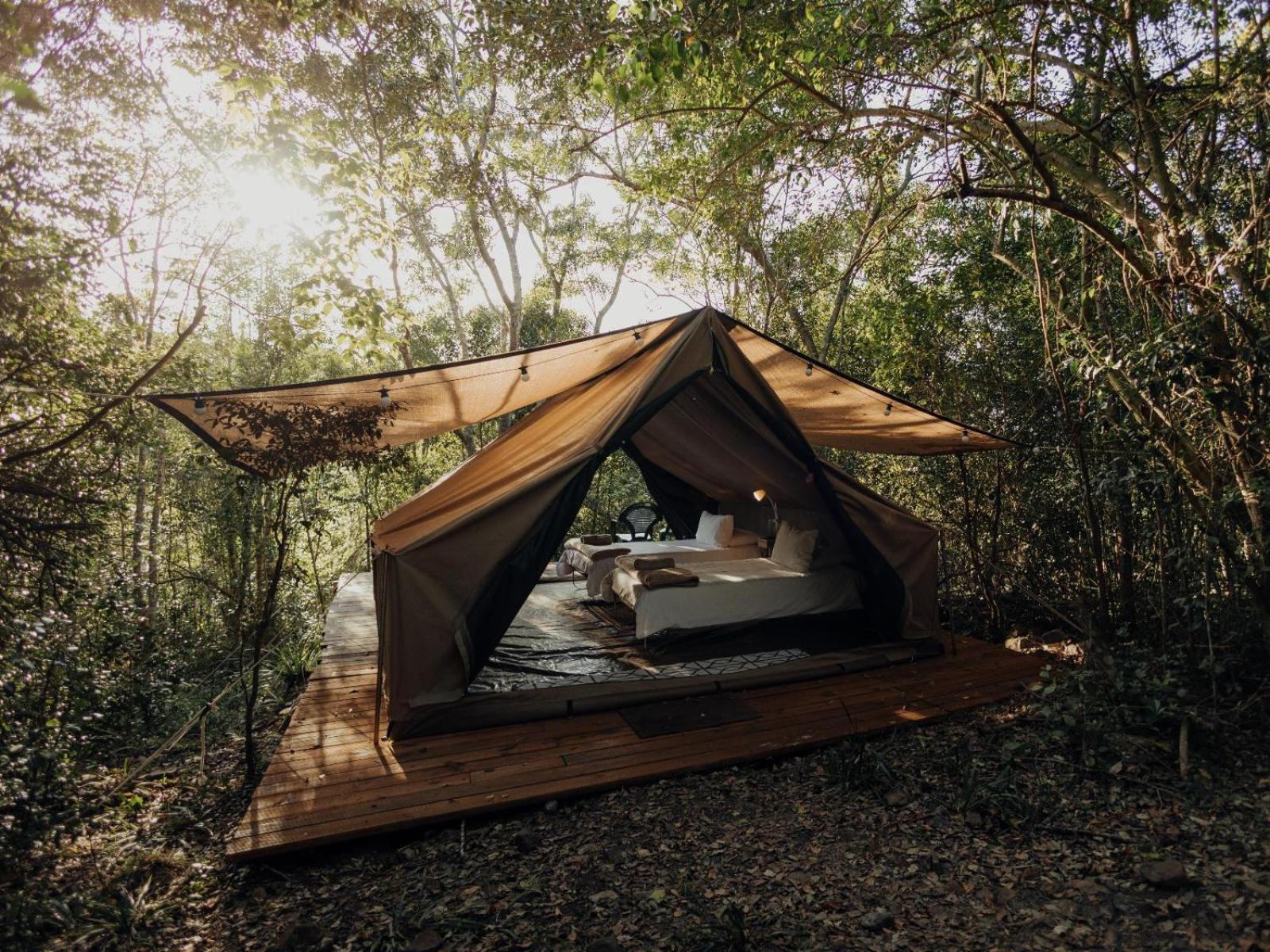 Firefly Falls Plettenberg Bay Extérieur photo
